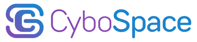 CyboSpace Solutions
